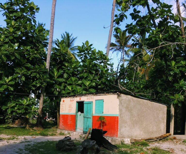 The Haiti Crisis: What’s Happening and How to Help